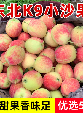东北K9沙果小苹果5斤海棠果包邮特产开久花红鸡心新鲜孕妇酸水果