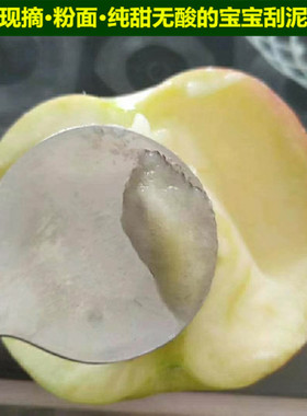 现摘粉面甜苹果宝宝婴儿刮泥吃的辅食苹果新鲜水果5斤