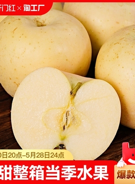 山东烟台黄金奶油富士苹果5斤牛奶苹果脆甜整箱当季新鲜水果