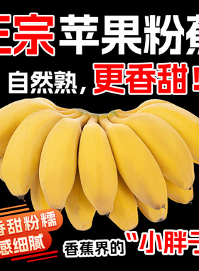 广西苹果蕉5斤现摘新鲜水果拒绝焦绿香甜粉蕉自然熟软糯小米蕉3斤