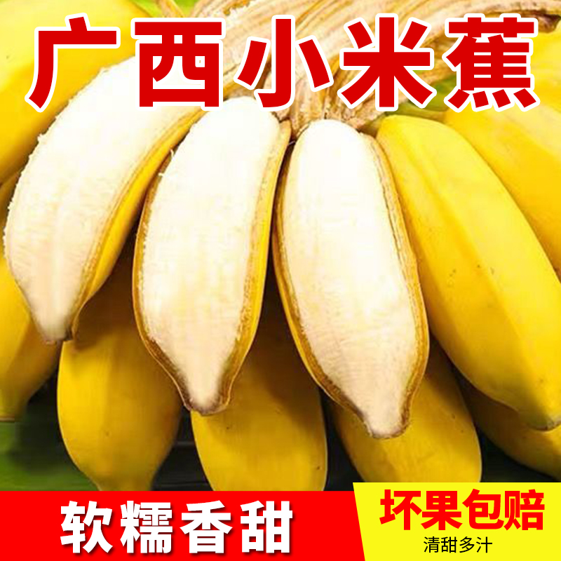 现摘广西小米蕉当季新鲜水果苹果蕉香蕉皇帝芭蕉1/3/5/9斤包邮