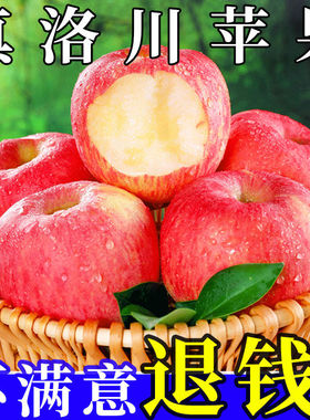 当季现摘陕西延安洛川苹果水果新鲜脆甜5/10斤红富士冰糖心苹果