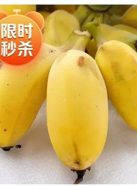 贵州苹果蕉新鲜小米蕉香蕉自然熟香甜粉蕉当季水果皇帝蕉5斤包邮