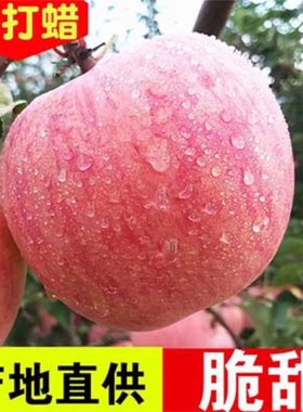 山西丑苹果黄土高坡苹果新鲜水果5斤/6斤红富士冰糖心果园自然