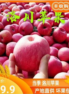 正宗陕西洛川苹果新鲜水果当季农家红富士超甜5斤小苹果整箱包邮