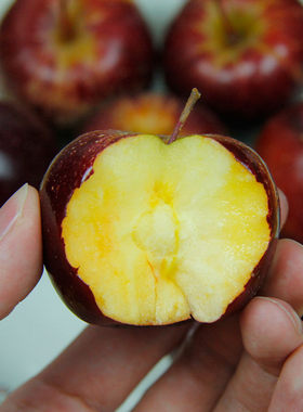 东北龙丰果5斤大秋果东北特产海棠果小苹果丑果新鲜酸甜水果RXHC