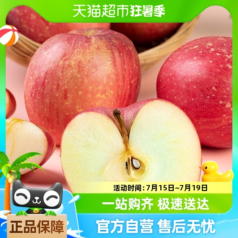 山东红富士苹果烟台苹果丑苹果5斤脆甜冰糖心新鲜水果现摘现发
