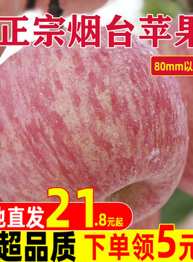 烟台红富士苹果5斤10水果新鲜应当季山东栖霞冰糖心丑苹果农产品