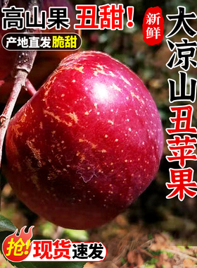 大凉山丑苹果10斤整箱当季新鲜水果四川脆甜冰糖心盐源苹果5