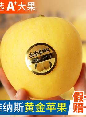 维纳斯黄金苹果5斤山东当季水果奶油黄胖子新鲜正宗黄色时令包邮