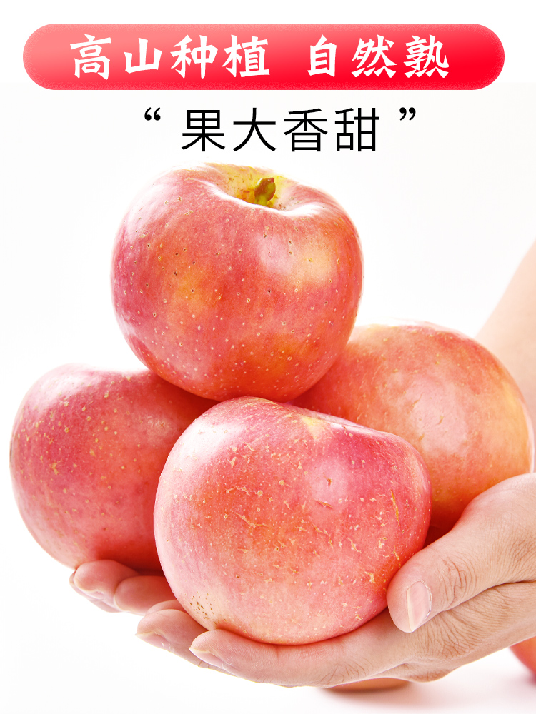 红富士苹果高原水果新鲜应当季陕西丑苹萍果整箱5现摘冰糖心9斤