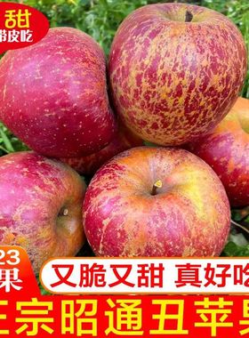 现摘丑苹果应季冰糖心新鲜水果脆甜红富士苹果10斤5斤装整箱