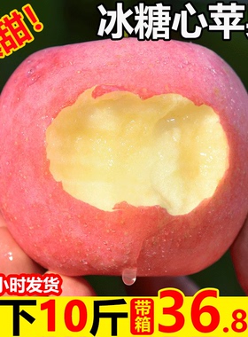 脆甜红富士苹果10斤水果新鲜应当季丑苹萍果冰糖心嘎啦整箱5