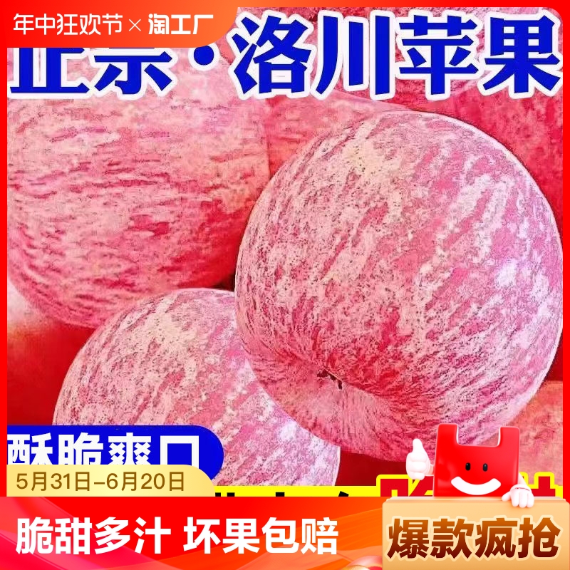 正宗陕西洛川苹果新鲜当季脆甜红富士冰糖心苹果水果10斤5斤整箱