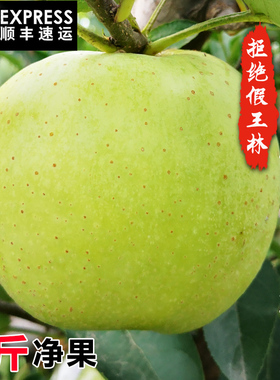 正宗王林苹果水果新鲜当季整箱5斤脆甜雀斑青苹果青森丑苹果顺丰