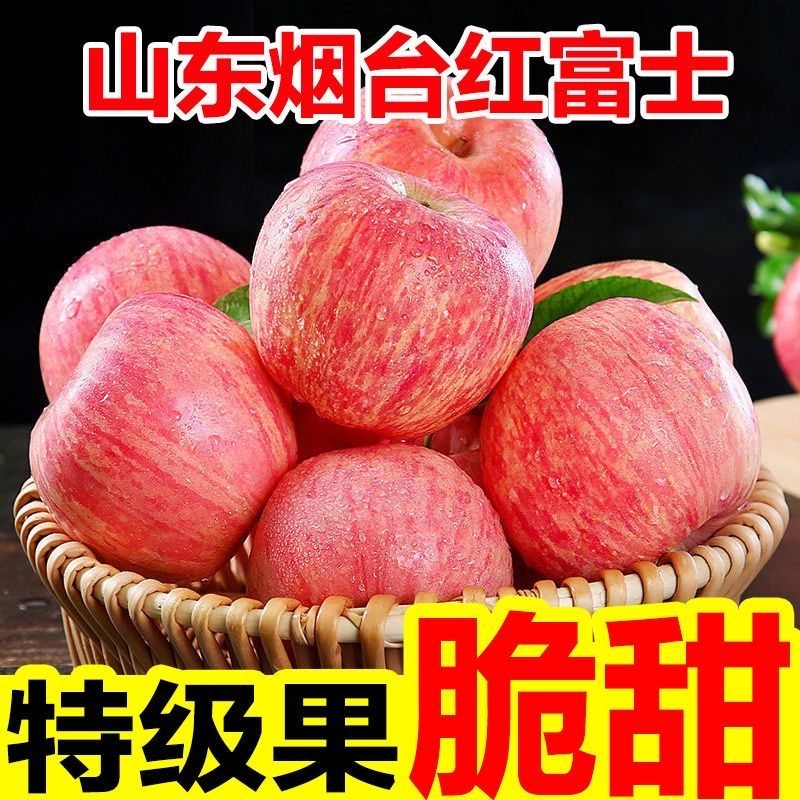 正宗山东烟台苹果脆甜冰糖心红富士苹果水果新鲜当季5斤平果5斤