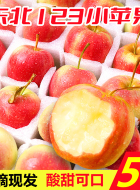 东北123小苹果酸甜整箱5斤新鲜当季应季水果海棠果红沙果酸甜特产