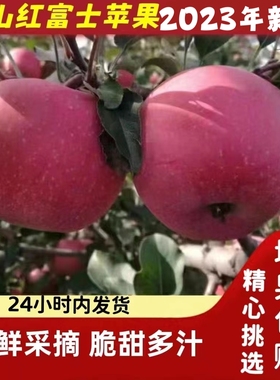 2023新鲜河北红富士苹果水果当季农家脆甜丑整箱5斤非烟台大凉山