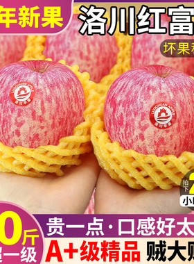 正宗陕西洛川苹果新鲜水果9斤红富士当季整箱冰糖心脆平果丑5