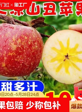 四川大凉山冰糖心丑苹果10斤新鲜苹果水果5斤盐源红富士脆甜苹果