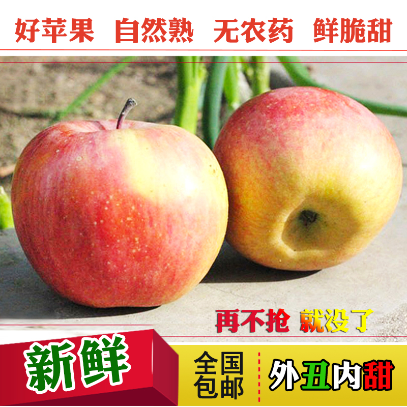 【天天特价】山东烟台栖霞新鲜苹果吃的水果特产红富士5斤大果