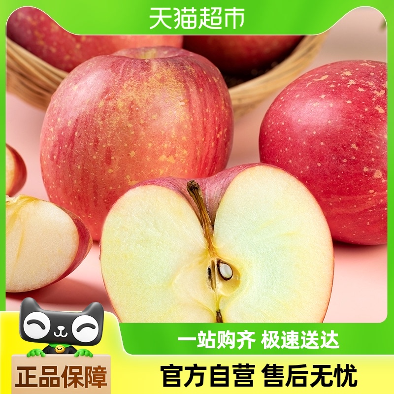 山东红富士苹果烟台苹果丑苹果5斤脆甜冰糖心新鲜水果现摘现发