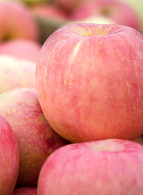21年新苹果水果新鲜当季整箱10斤富士应季包邮脆甜脆甜青红平果5