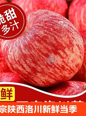 正宗陕西洛川苹果水果新鲜当季整箱红富士冰糖心一级脆甜5斤包邮