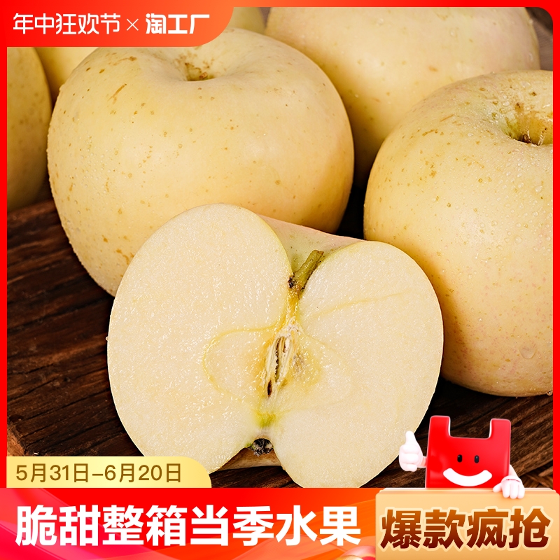 山东烟台黄金奶油富士苹果5斤牛奶苹果脆甜整箱当季新鲜水果精选