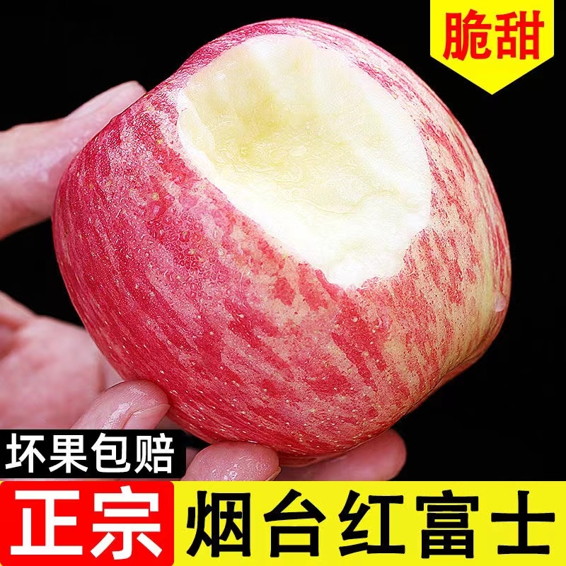 正宗山东烟台苹果脆甜栖霞红富士苹果当季新鲜水果5斤整箱精选
