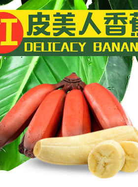 福建土楼红美人香蕉5斤红皮香蕉应季新鲜水果漳州苹果蕉孕妇水果