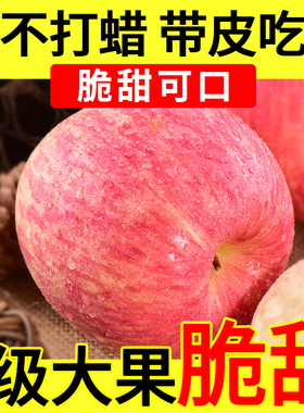 新鲜苹果烟台苹果山东红富士新鲜水果5斤包邮脆甜苹果特价农产品烟台直发