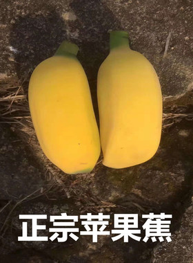 苹果香蕉小米焦粉蕉帝王蕉绿香蕉野生芭蕉水果香蕉新鲜大芭蕉5斤