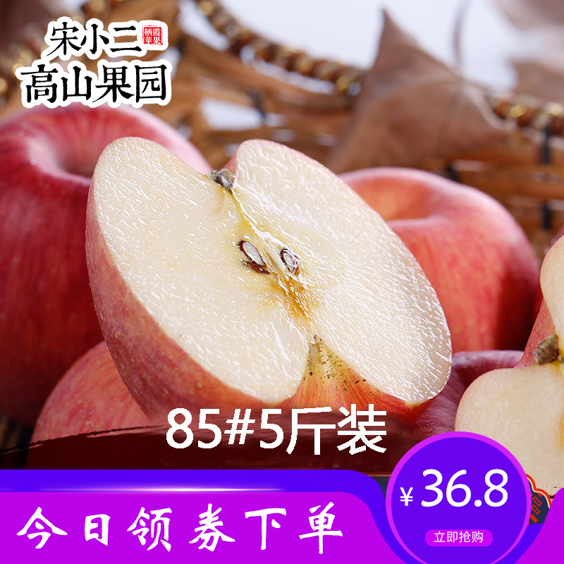 山东烟台栖霞红富士苹果当季采摘新鲜85#5斤大水果