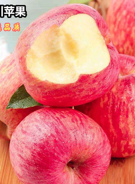 全年供应陕西洛川红富士苹果新鲜脆甜孕妇水果 5斤10斤整箱