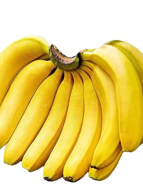 云南山甜香蕉10斤新鲜当季水果软香小米苹果芭蕉5