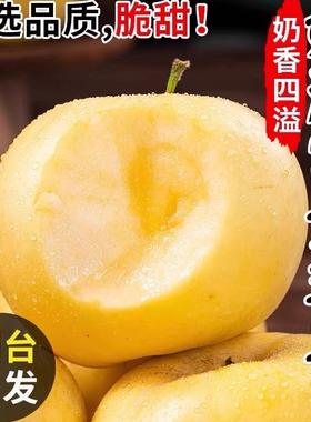 正宗山东烟台黄金奶油富士苹果新鲜 水果当季脆甜冰糖心5斤包邮。