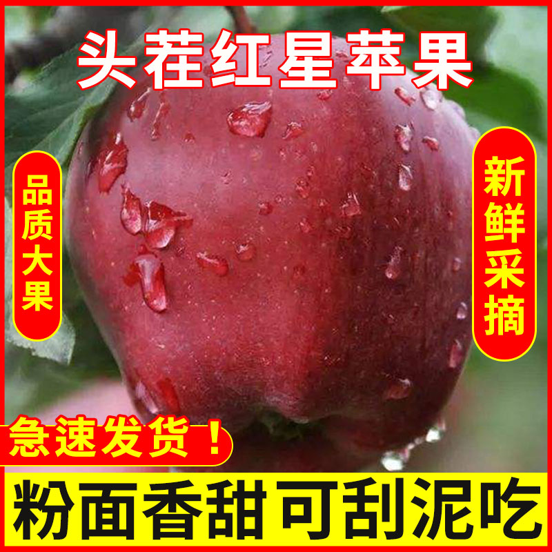 今年新摘红星花牛粉面甜白水苹果宝宝刮果泥老人吃的新鲜水果5斤