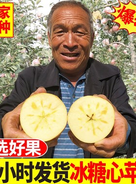 山西5红富士应苹果水果10心当季苹果冰糖整箱斤新鲜季平果丑