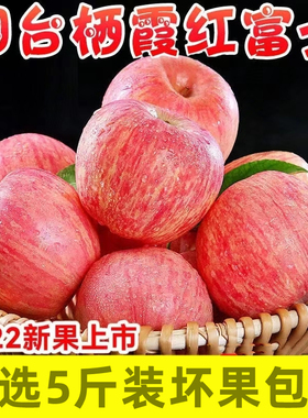 山东烟台红富士苹果5斤装精选新鲜水果当季孕妇水果脆甜可口包邮