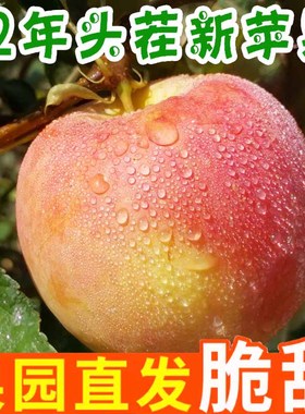 水果整箱红富士应当季5平果新鲜苹果脆甜苹果心萍丑斤冰糖10