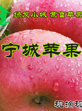 【现摘发】农家宁城蒙富苹果新鲜酸甜孕妇水果5斤包邮脆甜苹果