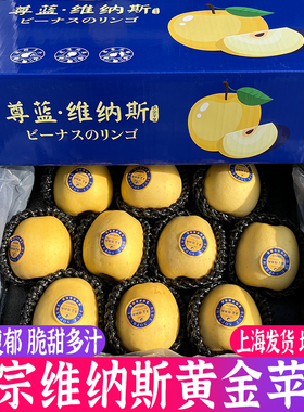 日本引种维纳斯黄金苹果5斤礼盒冬恋苹果黄元帅脆甜多汁新鲜水果
