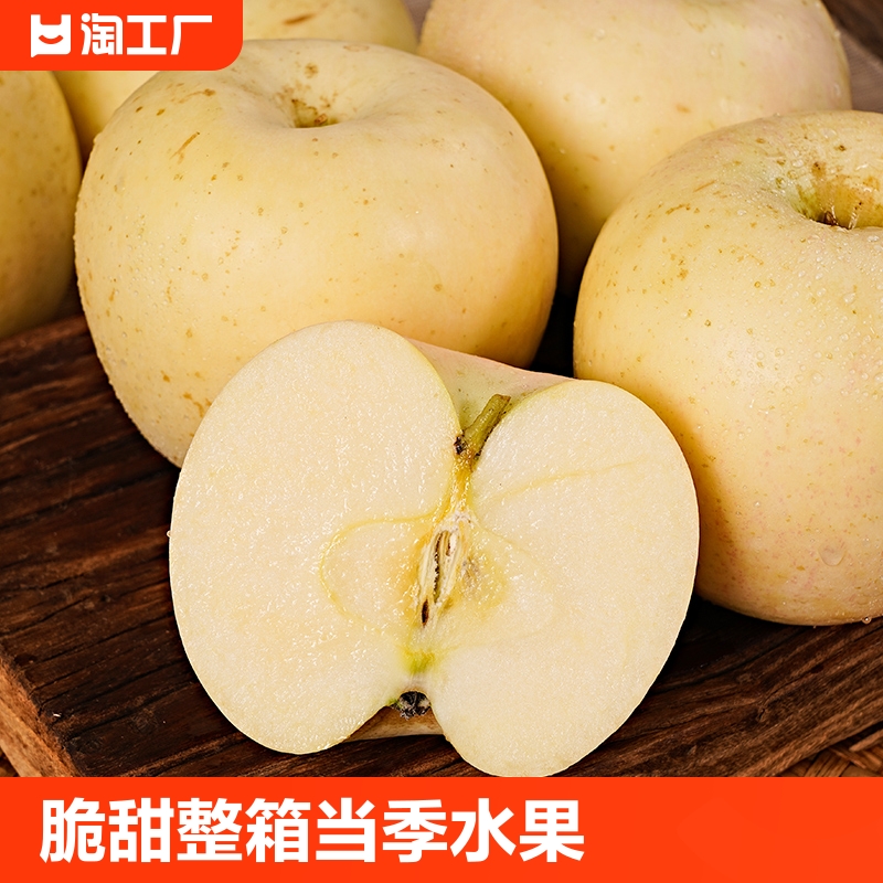 山东烟台黄金奶油富士苹果5斤牛奶苹果整箱当季新鲜水果精选自然
