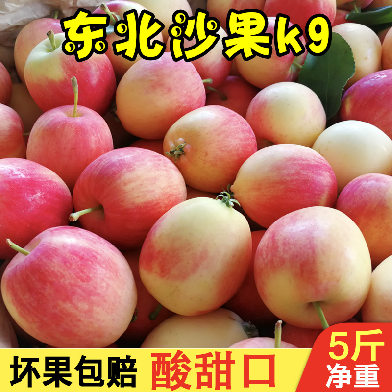 东北K9小沙果5斤包邮特产开久苹果鸡心花红海棠果新鲜孕妇酸水果