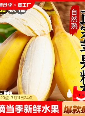 现摘广西正宗苹果蕉当季新鲜水果3/5/9斤自然熟苹果蕉香蕉粉蕉