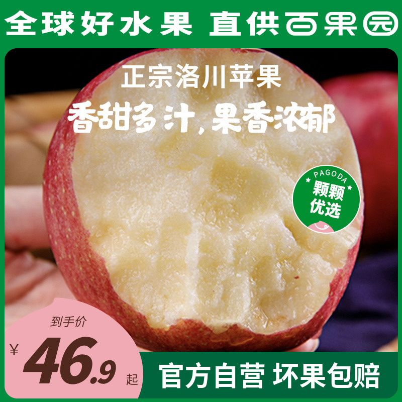 【百果园店】陕西洛川苹果红富士5/8.5斤整箱平安果当季新鲜水果