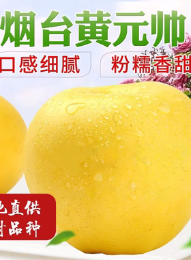 黄元帅苹果黄金帅苹果粉苹果水果5斤黄蕉面黄色苹果应季水果新鲜
