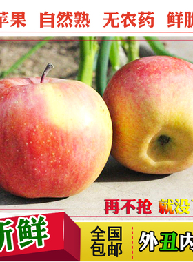 【天天特价】山东烟台栖霞新鲜苹果吃的水果特产红富士5斤大果