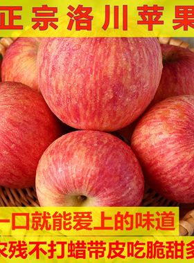 正宗陕西洛川红富士苹果脆甜多汁新鲜水果一级当季整箱5/10斤